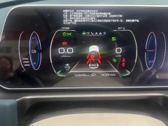 ORA Good Cat 401km Standard Range Comfort Edition LFP Battery - ფოტო 16