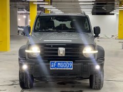 Tank 300 Off-Road Edition 2.0T Conqueror - ფოტო 2