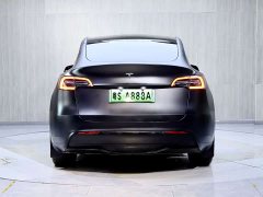Tesla Model Y 2022 Facelift Rear-Wheel Drive - ფოტო 6