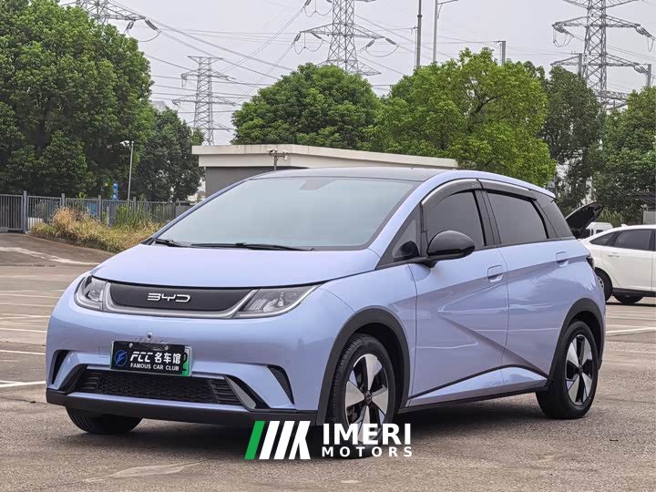 BYD Dolphin 420km Fashion Edition - ავტომობილი ჩინეთიდან