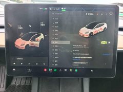Tesla Model 3 Facelift Standard Range RWD Upgrade 3D1 - ფოტო 13