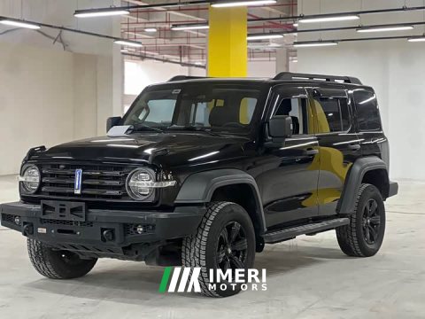 2021 Tank 300 Off-Road Edition 2.0T Conqueror - ავტომობილი ჩინეთიდან