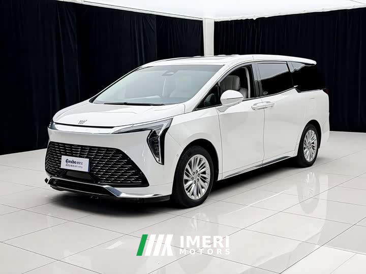 Toyota 2.0T Six-Seat Yun Shi Edition - ავტომობილი ჩინეთიდან