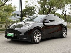 Tesla Model Y Rear-Wheel Drive - ფოტო 1
