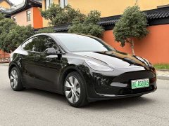 Tesla Model Y Rear-Wheel Drive - ფოტო 3