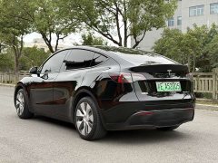 Tesla Model Y Rear-Wheel Drive - ფოტო 9