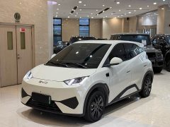 BYD Seagull 305km Freedom Edition - ფოტო 1
