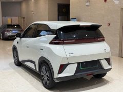 BYD Seagull 305km Freedom Edition - ფოტო 13