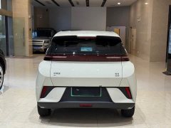 BYD Seagull 305km Freedom Edition - ფოტო 14