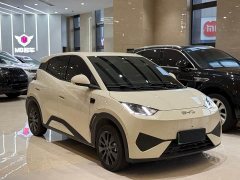BYD Seagull 305km Freedom Edition - ფოტო 3