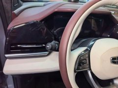 Geely Xingyue L 2021 2.0TD DCT EVO FWD Luxury - ფოტო 13