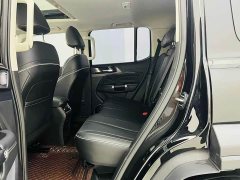 Tank 300 2021 Off-Road Edition 2.0T Conqueror - ფოტო 9