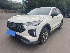 Haval Chitu 2022 Jingxiang Edition 1.5T Purple Copper Rabbit - ფოტო 10