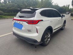 Haval Chitu 2022 Jingxiang Edition 1.5T Purple Copper Rabbit - ფოტო 8
