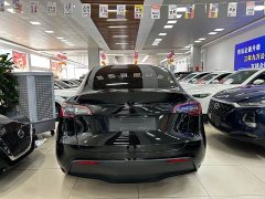 Tesla Model Y Rear-Wheel Drive - ფოტო 10