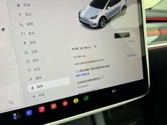 Tesla Model Y Rear-Wheel Drive - ფოტო 12