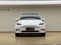 Tesla Model Y Rear-Wheel Drive - ფოტო 2