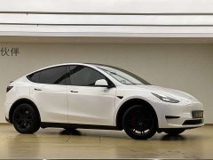 Tesla Model Y Rear-Wheel Drive - ფოტო 3