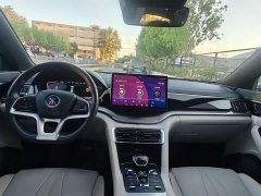 BYD Song Plus New Energy EV Premium - ფოტო 16