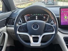 BYD Song Plus New Energy EV Premium - ფოტო 18