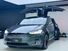 Tesla Model X 2020 Long Range Plus - ფოტო 1