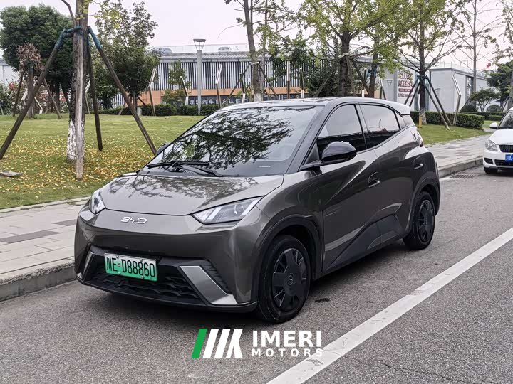 BYD Seagull Glory Edition 305km Vitality Version - ავტომობილი ჩინეთიდან