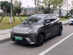 BYD Seagull Glory Edition 305km Vitality Version - ფოტო 1