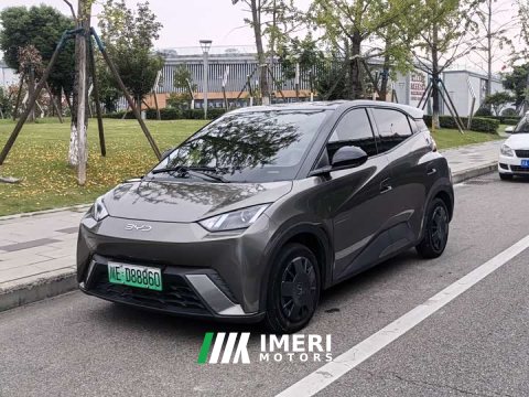 2024 BYD Seagull Glory Edition 305km Vitality Version - ავტომობილი ჩინეთიდან