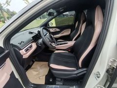 BYD Seagull Glory Edition 305km Vitality Version - ფოტო 10