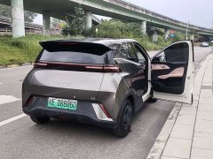 BYD Seagull Glory Edition 305km Vitality Version - ფოტო 13