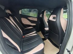 BYD Seagull Glory Edition 305km Vitality Version - ფოტო 15