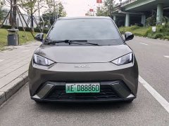 BYD Seagull Glory Edition 305km Vitality Version - ფოტო 2