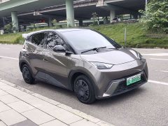 BYD Seagull Glory Edition 305km Vitality Version - ფოტო 3