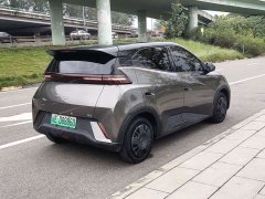 BYD Seagull Glory Edition 305km Vitality Version - ფოტო 4