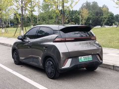 BYD Seagull Glory Edition 305km Vitality Version - ფოტო 6