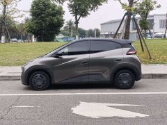 BYD Seagull Glory Edition 305km Vitality Version - ფოტო 8