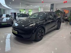Tesla Model Y Rear-Wheel Drive - ფოტო 1