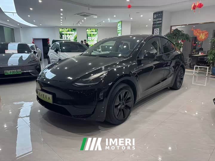 Tesla Model Y Rear-Wheel Drive
