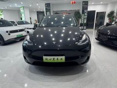 Tesla Model Y Rear-Wheel Drive - ფოტო 2