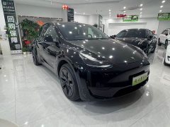 Tesla Model Y Rear-Wheel Drive - ფოტო 3