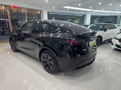 Tesla Model Y Rear-Wheel Drive - ფოტო 7