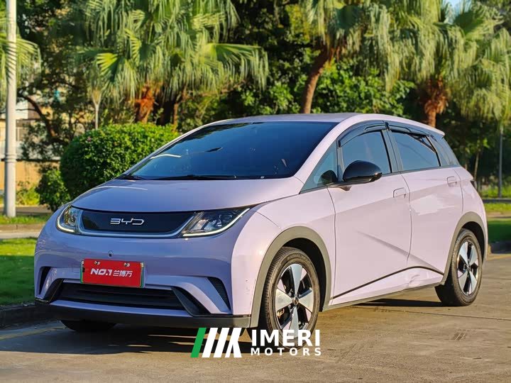 BYD Dolphin 420km Freedom Edition - ავტომობილი ჩინეთიდან