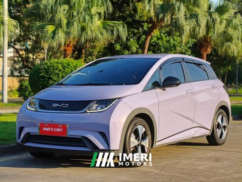 2023 BYD Dolphin 420km Freedom Edition - ავტომობილი ჩინეთიდან
