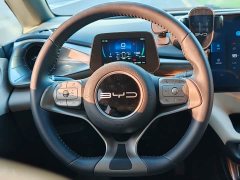 BYD Dolphin 420km Freedom Edition - ფოტო 15