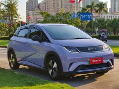 BYD Dolphin 420km Freedom Edition - ფოტო 2