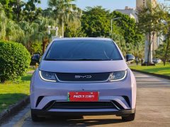 BYD Dolphin 420km Freedom Edition - ფოტო 3
