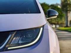 BYD Dolphin 420km Freedom Edition - ფოტო 4