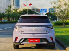 BYD Dolphin 420km Freedom Edition - ფოტო 8