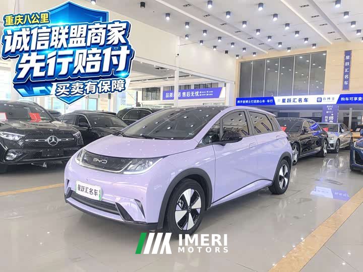 BYD Dolphin 420km Fashion Edition - ავტომობილი ჩინეთიდან