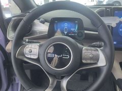 BYD Dolphin 420km Fashion Edition - ფოტო 20